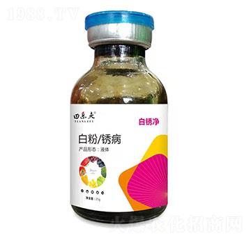 �׷����P��-���P��-���-��ʢ����