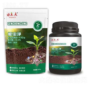 ���x��-��ʢ����