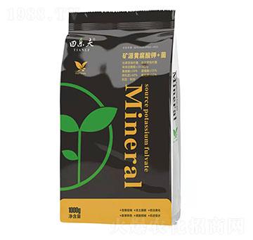 �VԴ�S�����+��-���-��ʢ����