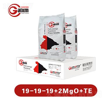 ����Ԫ��ˮ�ܷ�19-19-19+2MgO+TE-���R��ķ