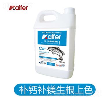 KF-2�~(y��)���בҸ��}��Ͱ��-�P�ַƠ�