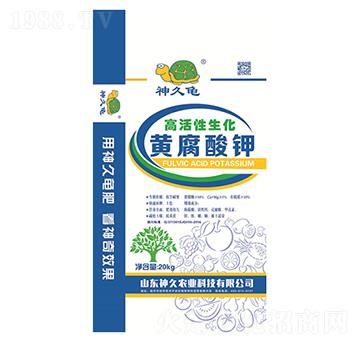 �S����⛣��߻���������-����r(n��ng)�I(y��)