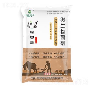 �o(h��)�l(w��i)�����濵-���G��