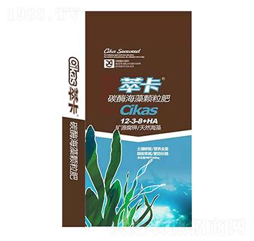 ̼ø�����w����12-3