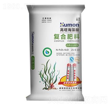 ����������ͺϷ���21-6-13-����