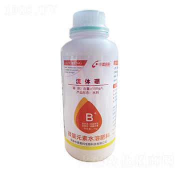 ���w��-���ظ߿�