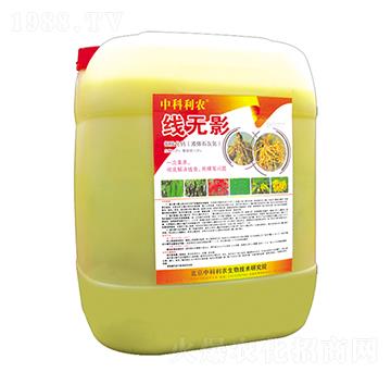 �����{(di��o)�턩-���oӰ-�п����r(n��ng)