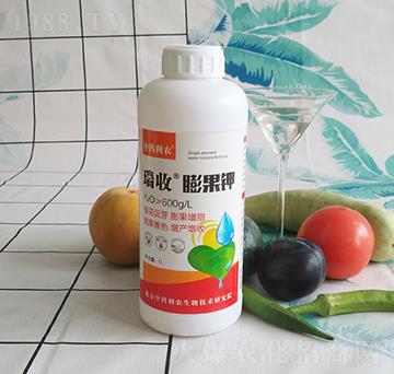 ��������-�п����r