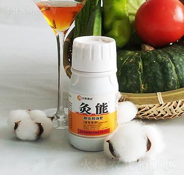 ����-�п����r