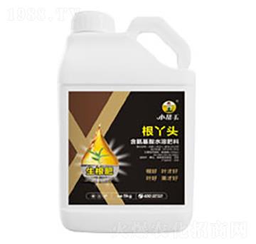 ��Ѿ�^-����������