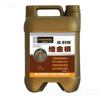 ����-�����