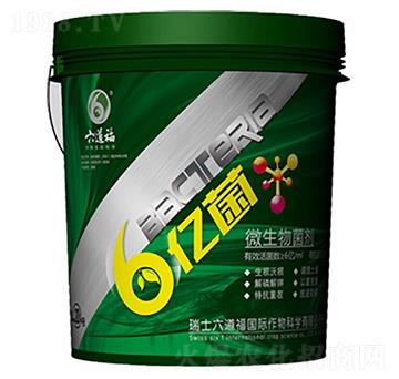 ΢�������-���|��-��