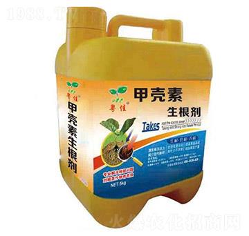 ���Ѽך���������-�����ʘI(y��)