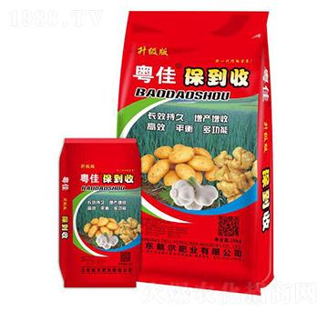 ���ѱ�����-�����ʘI(y��)