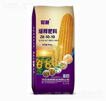 ��ጷ���28-10-10-�͸��ʘI(y��)