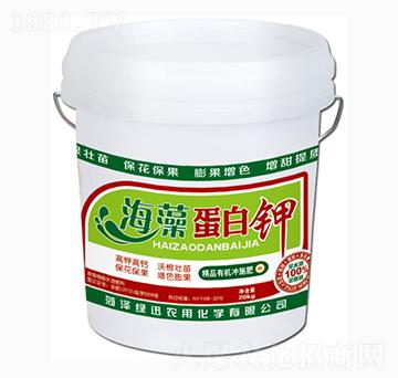 ���嵰���-�GӍ