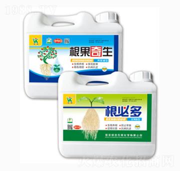 ���ض�-�GӍ