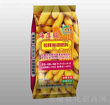 �������ጓ������23-10-10-����ʩ