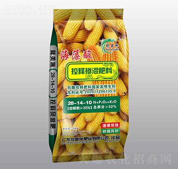 �������ጓ������28-14-10-����ʩ