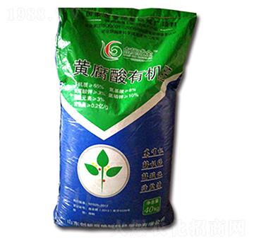 �S�����ЙC(j��)��-�|��(chu��ng)