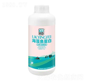 海藻魚蛋白-德源豐錦