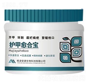 �o�����ό�-���Z����