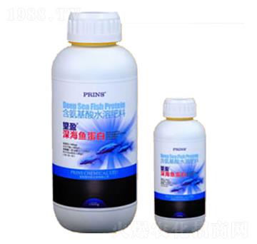 ��ӯ��~����-Ӣ��(gu��)����˹