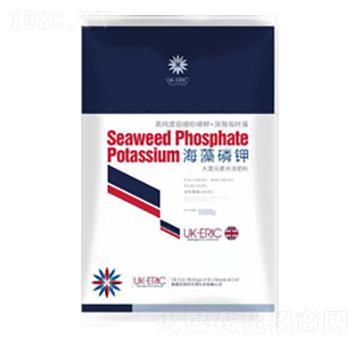 �������-Ӣ��(gu��)�����