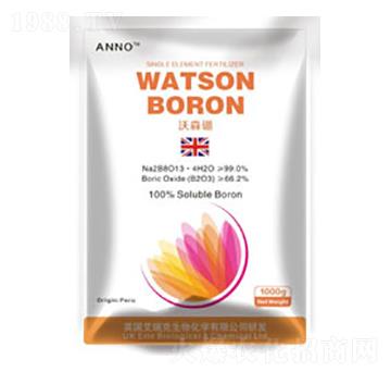 ��ķɭ��-Ӣ��(gu��)�����