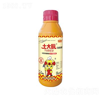 1000g�S�a(ch��n)���|��-����N