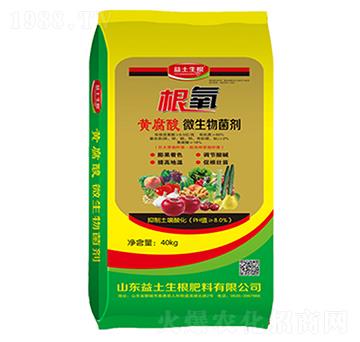 �S����΢�������-����-����