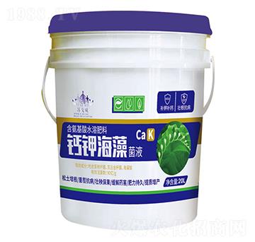 �}⛺����Һ-ɽ�|�������