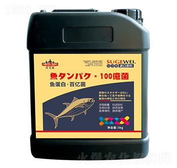 �~���ס��ك|��-ɽ�|�������