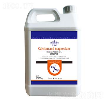 �Ǵ��}�V-ɽ�|�������