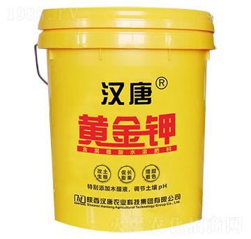 黃金鉀-漢唐