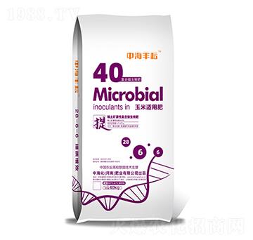 �����m�÷�-�к��S��-�к����ʘI(y��)