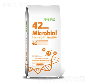 �����m�÷�-�к��S��-�к����ʘI(y��)