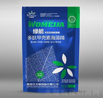 ���ļך��غ��徫-�G��-������