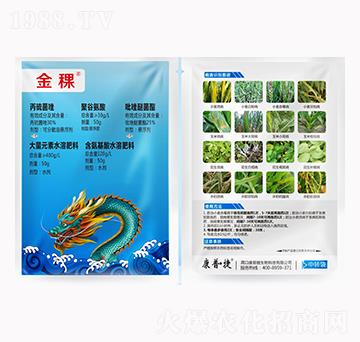 ����-���ս�����