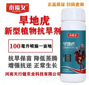 ����ֲ�￹����-���ػ�-СħŮ-���н�