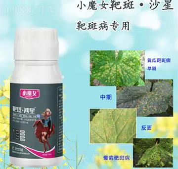 �аߡ�ɳ��-СħŮ-���н�