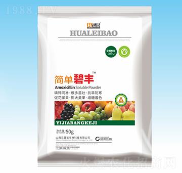 �V�V����⛷�-��(ji��n)�α��S-���ٌ�����