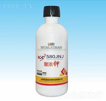 �۝��-���ٌ�����