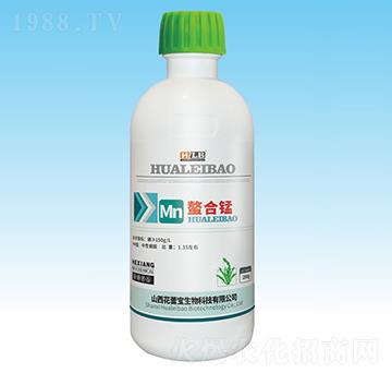 �����i-���ٌ�����