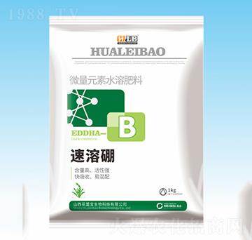 ������-���ٌ�����