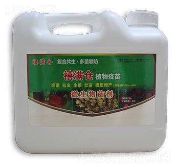 ���M�}΢�������-���M��΢