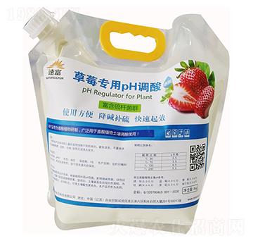 ��ݮ��(zhu��n)��pH�{(di��o)�ᄩ-������