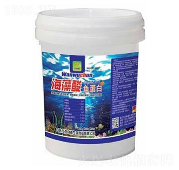 �������~(y��)����-�f(w��n)�ﴺ