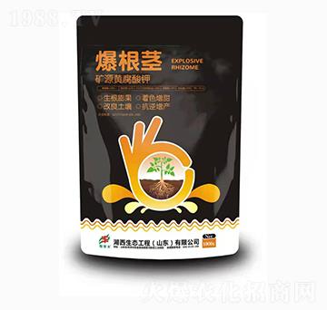 �VԴ�S�����-�����o-�������B(t��i)