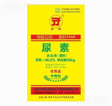 50kg���w������-���x-�A������